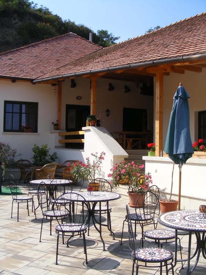 Erzsebet Pince Apartment Tokaj Exterior photo